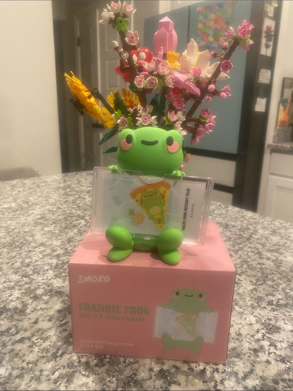 SMOKO Frankie Frog Instax Mini Frame